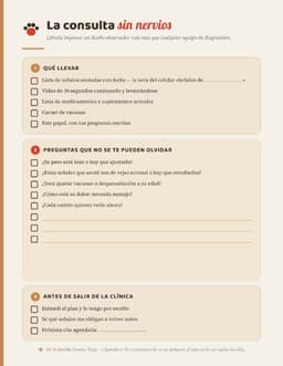 La consulta sin nervios — checklist imprimible